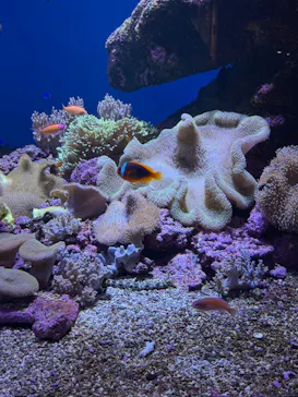 仙台うみの杜水族館に投稿された画像（2025/2/16）