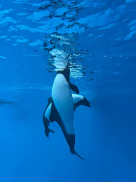 仙台うみの杜水族館に投稿された画像（2025/2/16）