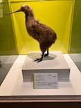 特別展「鳥 ～ゲノム解析が解き明かす新しい鳥類の系統～」国立科学博物館に投稿された画像（2025/2/17）