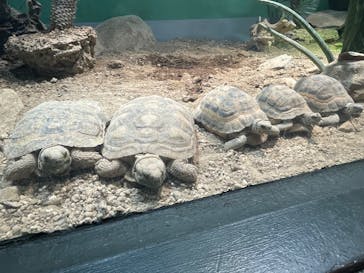 サンシャイン水族館に投稿された画像（2025/2/16）