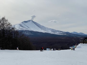 軽井沢スノーパークに投稿された画像（2025/2/16）