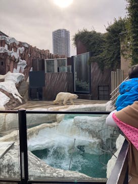 恩賜上野動物園に投稿された画像（2025/2/16）