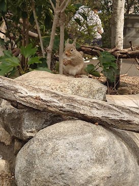 神戸どうぶつ王国に投稿された画像（2025/2/16）