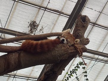 神戸どうぶつ王国に投稿された画像（2025/2/16）