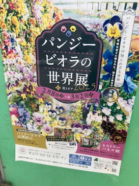 ぎふワールド・ローズガーデンに投稿された画像（2025/2/16）