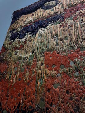 金沢21世紀美術館に投稿された画像（2025/2/16）