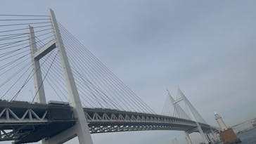 リザーブドクルーズに投稿された画像（2025/2/17）