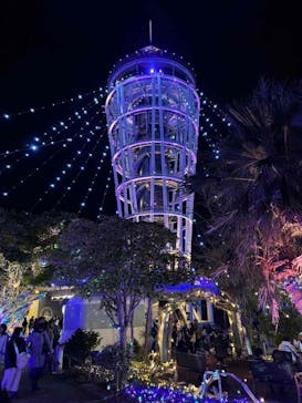 江の島シーキャンドルに投稿された画像（2025/2/17）