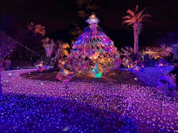 江の島シーキャンドルに投稿された画像（2025/2/17）