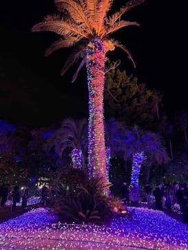 江の島シーキャンドルに投稿された画像（2025/2/17）