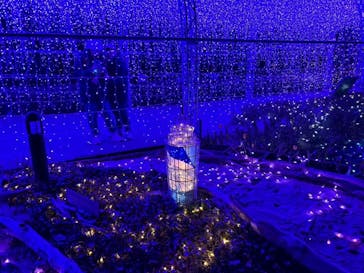 江の島シーキャンドルに投稿された画像（2025/2/17）