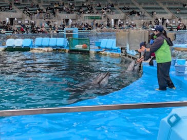 名古屋港水族館に投稿された画像（2025/2/17）