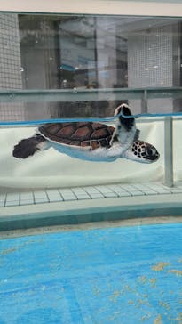 名古屋港水族館に投稿された画像（2025/2/17）