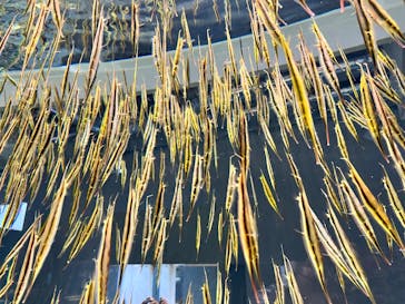 AOAO SAPPOROに投稿された画像（2025/2/17）