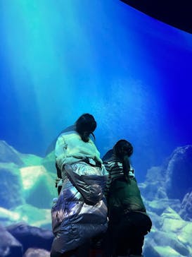 AOAO SAPPOROに投稿された画像（2025/2/17）