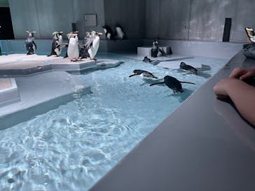 AOAO SAPPOROに投稿された画像（2025/2/17）