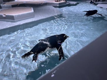 AOAO SAPPOROに投稿された画像（2025/2/17）