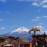 まかいの牧場に投稿された画像（2025/2/17）