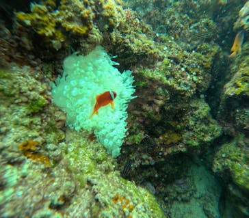 武藤潜水に投稿された画像（2025/2/17）