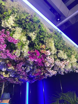 世界らん展2026-花と緑の祭典-に投稿された画像（2025/2/17）