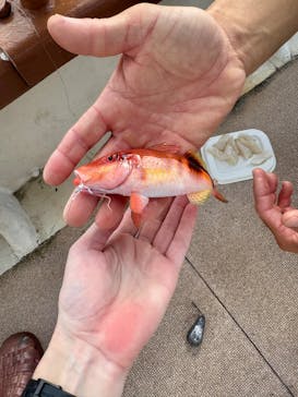 フージーマリンサービスに投稿された画像（2025/2/17）