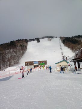 たざわ湖スキー場に投稿された画像（2025/2/17）