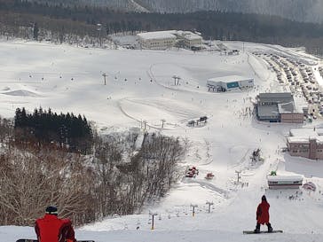 たざわ湖スキー場に投稿された画像（2025/2/17）