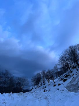白神山地森のえき（（一社）白神山地ふじさと観光協会）に投稿された画像（2025/2/17）