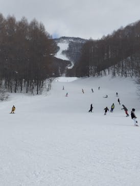 会津高原たかつえスキー場に投稿された画像（2025/2/17）