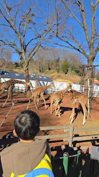 多摩動物公園に投稿された画像（2025/2/17）