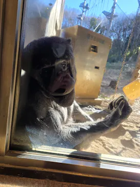 多摩動物公園に投稿された画像（2025/2/17）