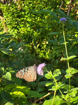 多摩動物公園に投稿された画像（2025/2/17）