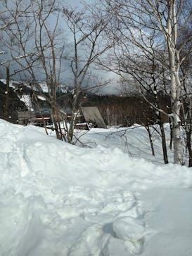 星野リゾート　トマムスキー場に投稿された画像（2025/2/17）