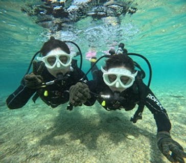 沖縄マリンサービス碧に投稿された画像（2025/2/17）