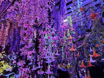 蜷川実花展 with EiM：彼岸の光、此岸の影 NINAGAWA Mika with EiM：Lights of the beyond, Shadows of this worldに投稿された画像（2025/2/17）