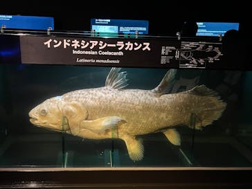 環境水族館アクアマリンふくしまに投稿された画像（2025/2/17）