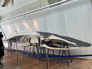 環境水族館アクアマリンふくしまに投稿された画像（2025/2/17）