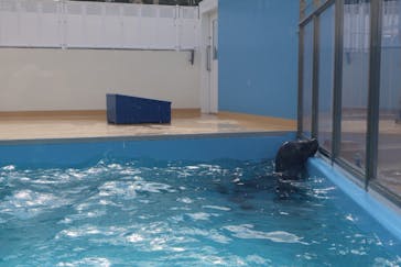 竹島水族館に投稿された画像（2025/2/17）