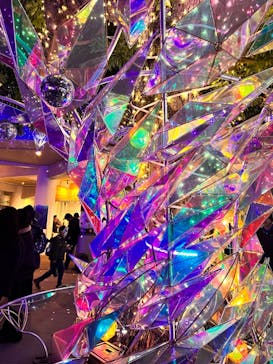 江の島シーキャンドルに投稿された画像（2025/2/17）