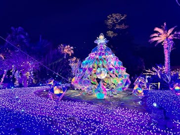 江の島シーキャンドルに投稿された画像（2025/2/17）