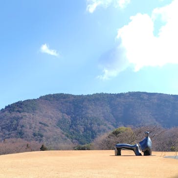 彫刻の森美術館に投稿された画像（2025/2/17）