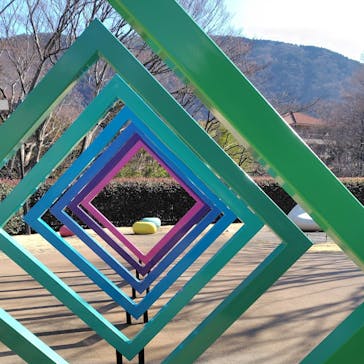 彫刻の森美術館に投稿された画像（2025/2/17）