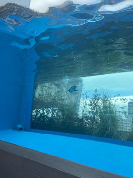 サンシャイン水族館に投稿された画像（2025/2/17）