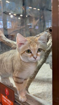 那須どうぶつ王国に投稿された画像（2025/2/17）