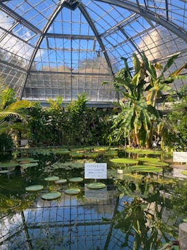 熱川バナナワニ園に投稿された画像（2025/2/17）