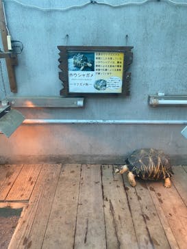 熱川バナナワニ園に投稿された画像（2025/2/17）