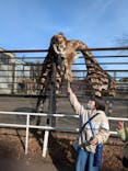 宇都宮動物園に投稿された画像（2025/2/17）