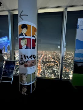 ハルカス300(展望台)に投稿された画像（2025/2/17）