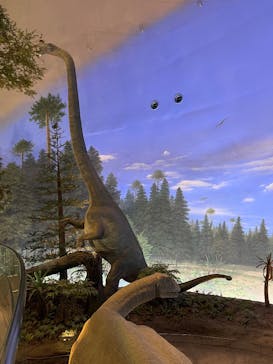 福井県立恐竜博物館に投稿された画像（2025/2/17）