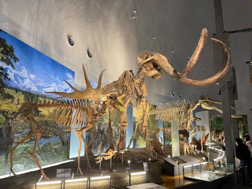 福井県立恐竜博物館に投稿された画像（2025/2/17）